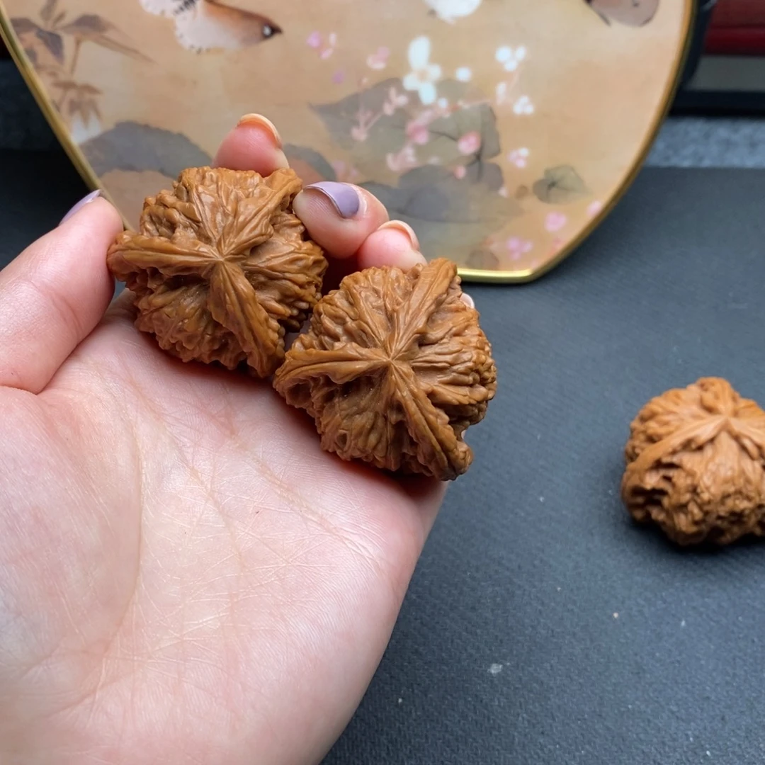 简*.白狮子1111111111