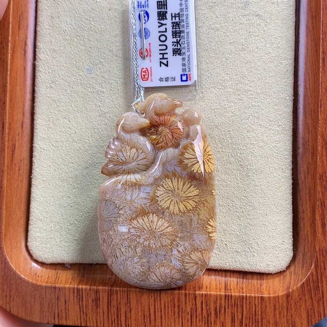 硅化珊瑚（珊瑚玉）未镶嵌吊坠(赠链)（22号）上新雕刻