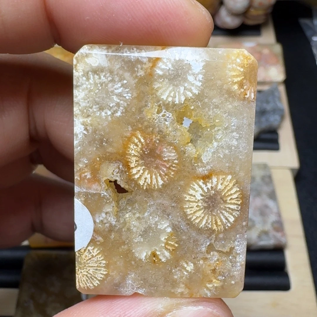 未镶嵌纯天然色有机玉石保真色硅化玉