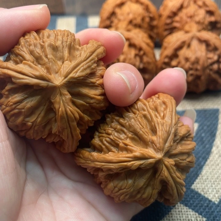 子***画核桃白狮子47核桃