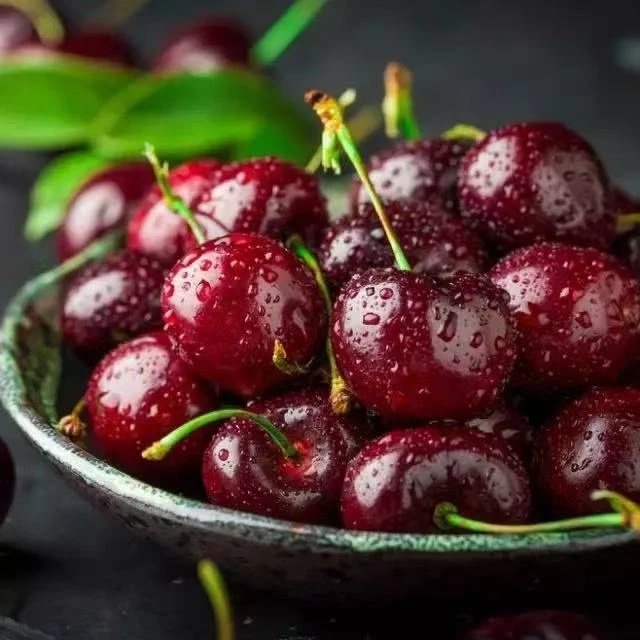 4JD桑提娜车厘子5斤 智利海运进口车厘子 桑提娜智利