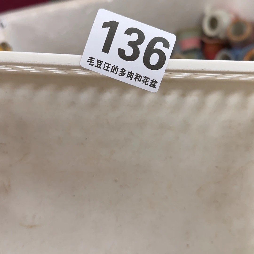 136 瑕疵特惠 自选 花盆 no退no换