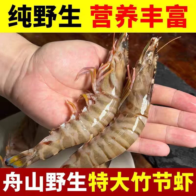 舟山野生竹节虾250g每盒九节虾斑节虾鲜活特大号海虾活冻海鲜