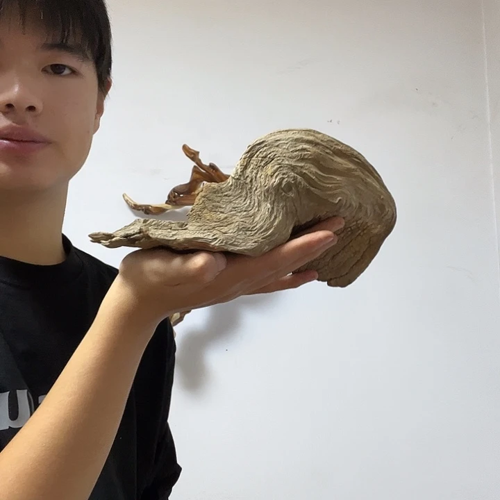 苏***庄柏木我也想去的路上有
