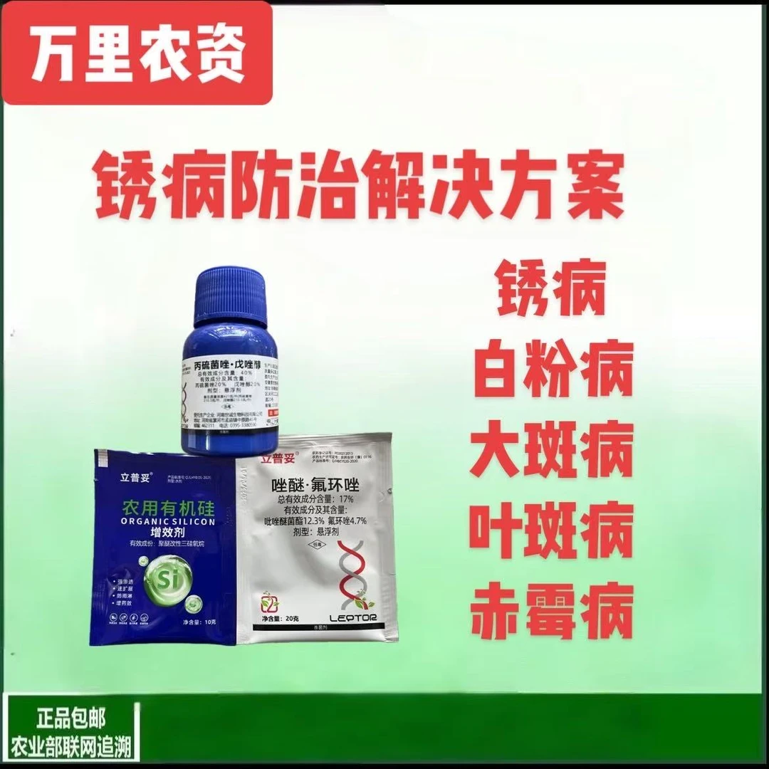 【作物锈病防治方案】玉米花生锈病叶斑病大斑病穗腐病