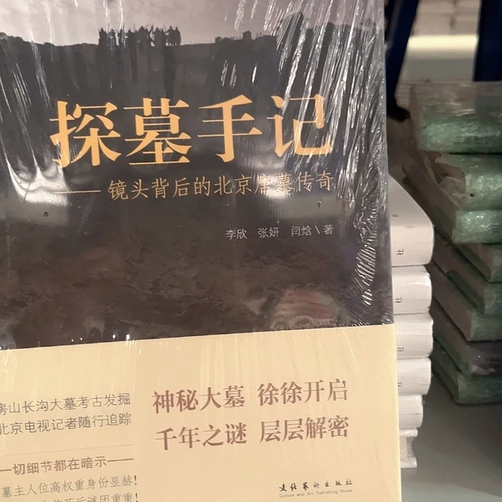 探墓手记新书推荐平装