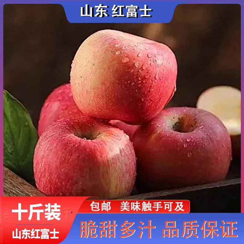 【火锅一姐甄选】正宗山东红富士苹果产地直发甜脆多汁发10斤装