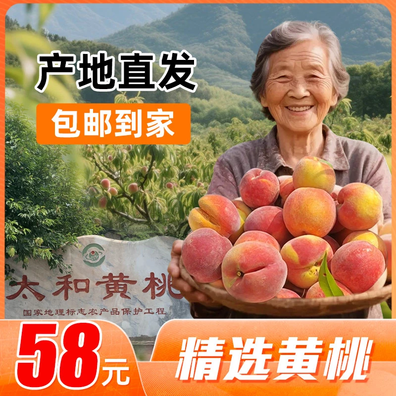 【产地直发·十年老树】合川特产，太和黄桃，