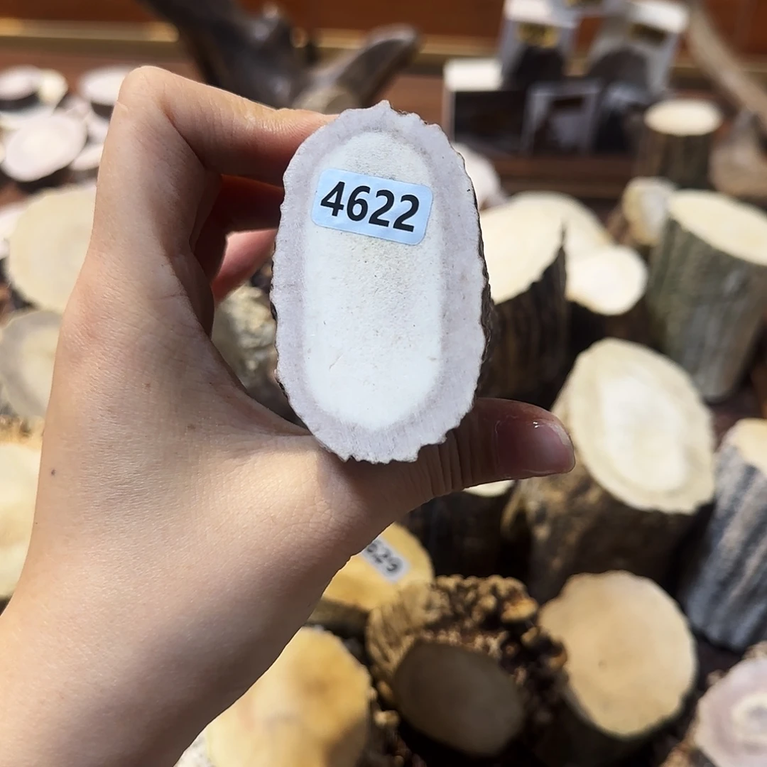 鹿骨手串/手链4622根段