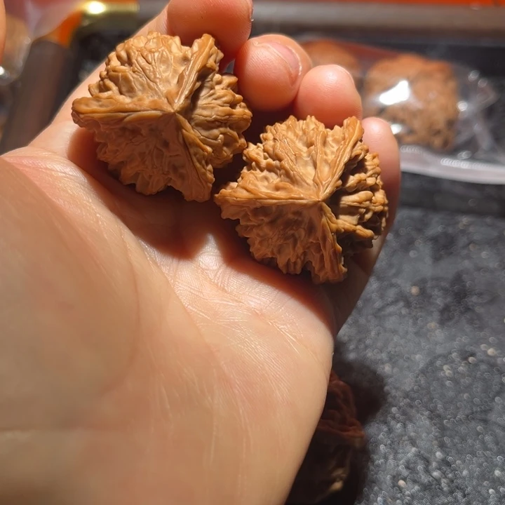 龙脊菩提吊坠三棱