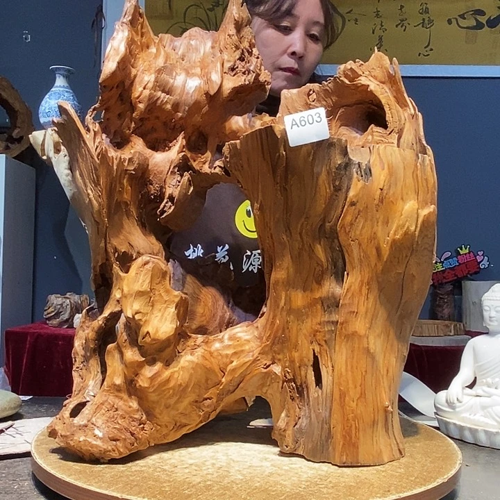 用****2603。株木随行小根艺