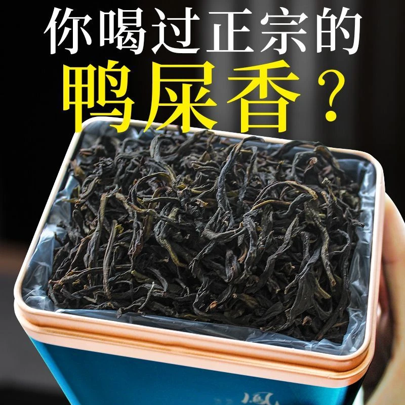 【鸭屎香】兰花香型2025年头春新茶凤凰高山单丛茶礼盒装浓香型包邮