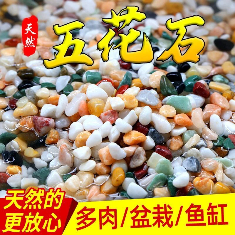 天然五花石鹅卵石雨花石鱼缸水族箱造景盆栽铺面石多肉专用铺面石