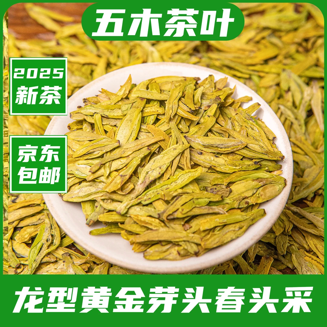 2025新茶头春头采松阳高山龙型黄金芽高豆香茶叶【五木H18】