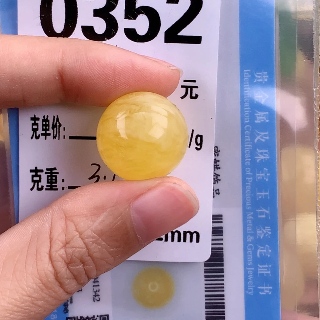 琥珀未镶嵌珠宝奇石17.8 植物