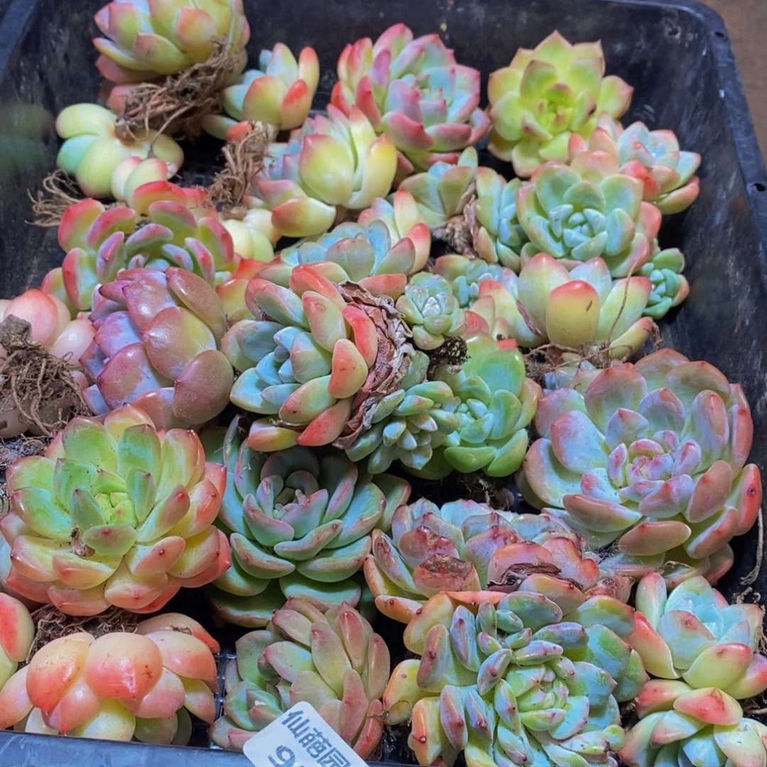 梦***子924的我是一个人的时候