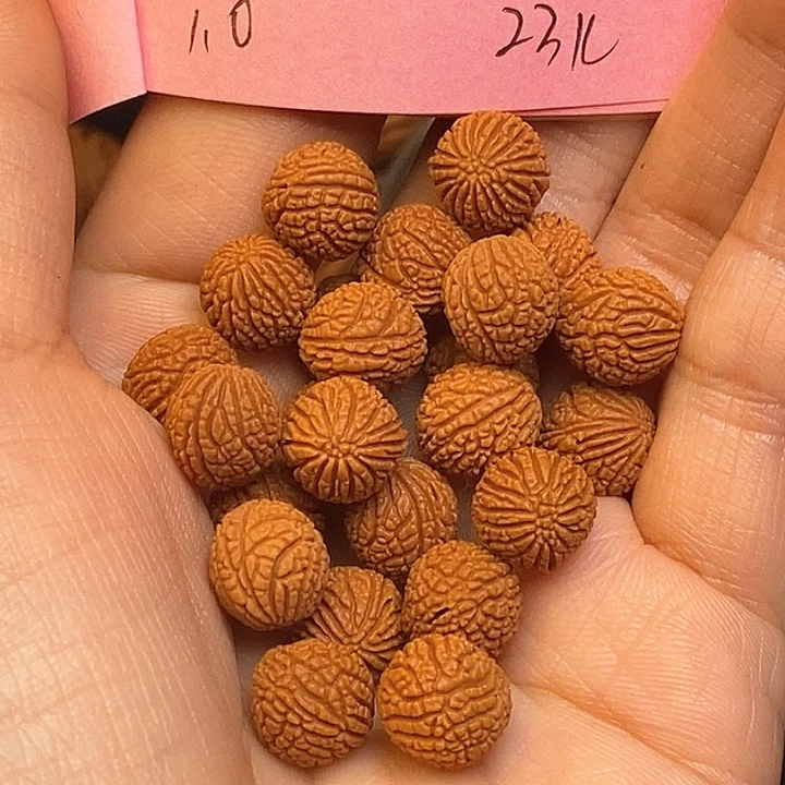 吊坠桃核秦岭龙纹桃核10尺寸