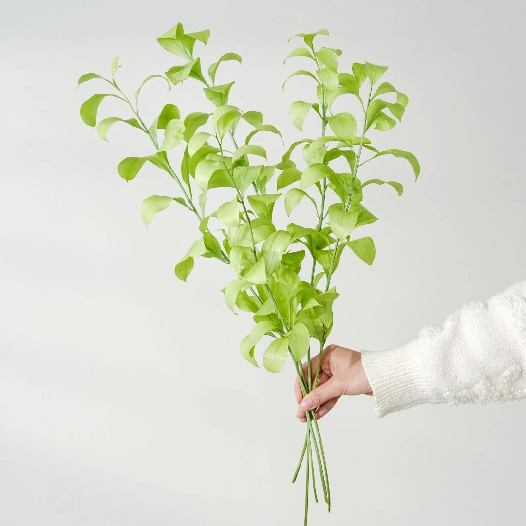 永生桔叶大叶片粗枝干叶片平整不皱居家插花装饰花材
