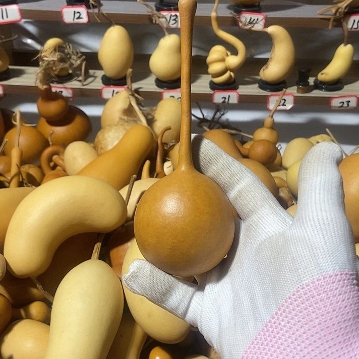 前***者有机玻璃直播间里的拍品链接