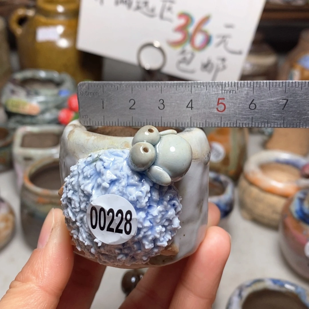 花盆拍3送一个小礼物