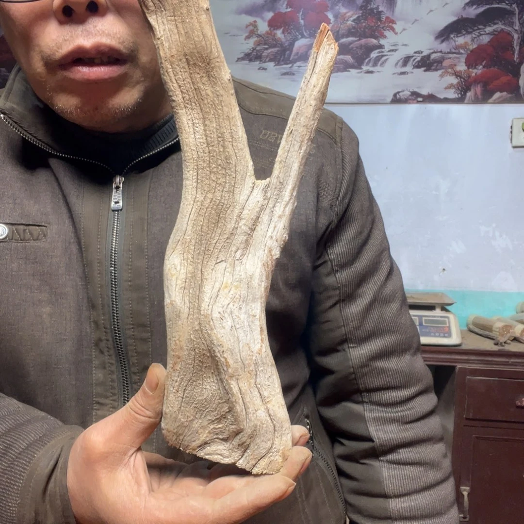 茉***茶西部山区北太行料