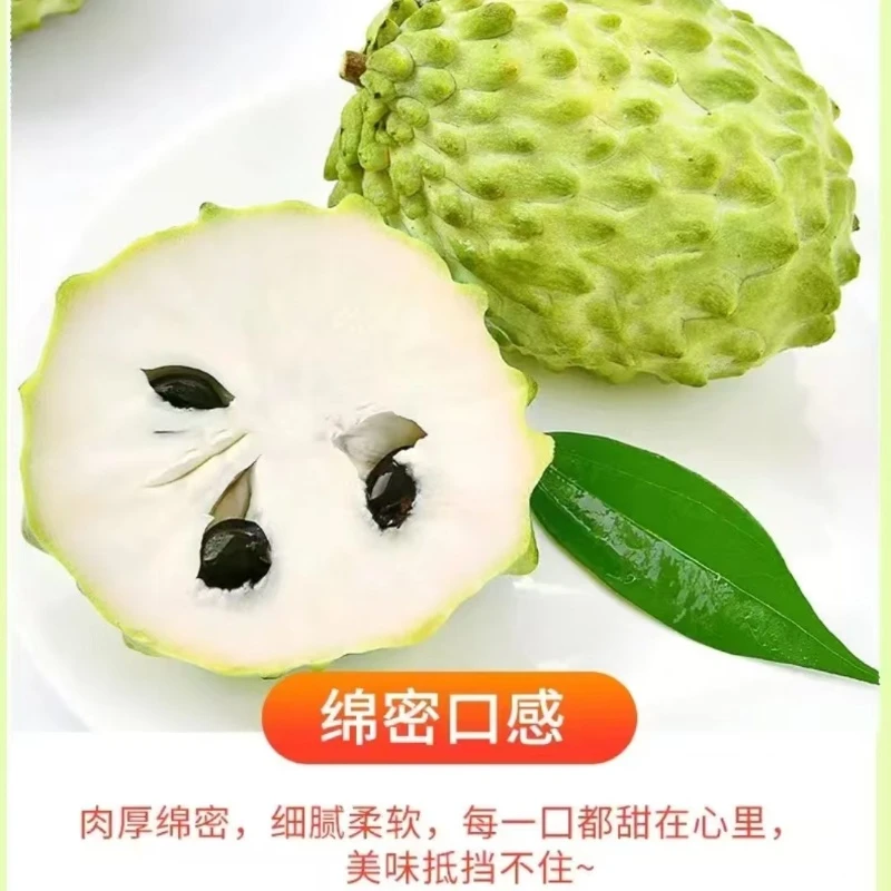 【放软食用】云南牛奶凤梨释迦果产地直发热带水果现摘现发软糯香甜