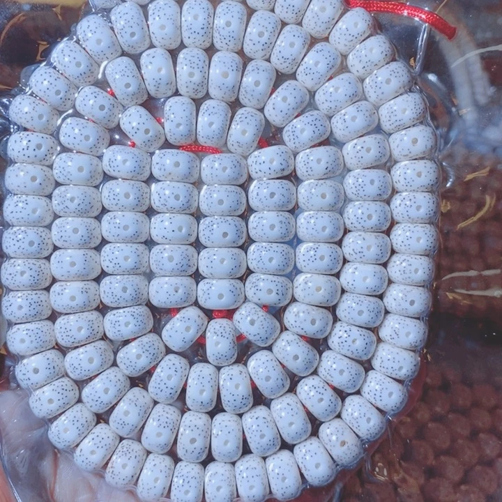 她***我吊坠星月菩提Dgjjbvvnn