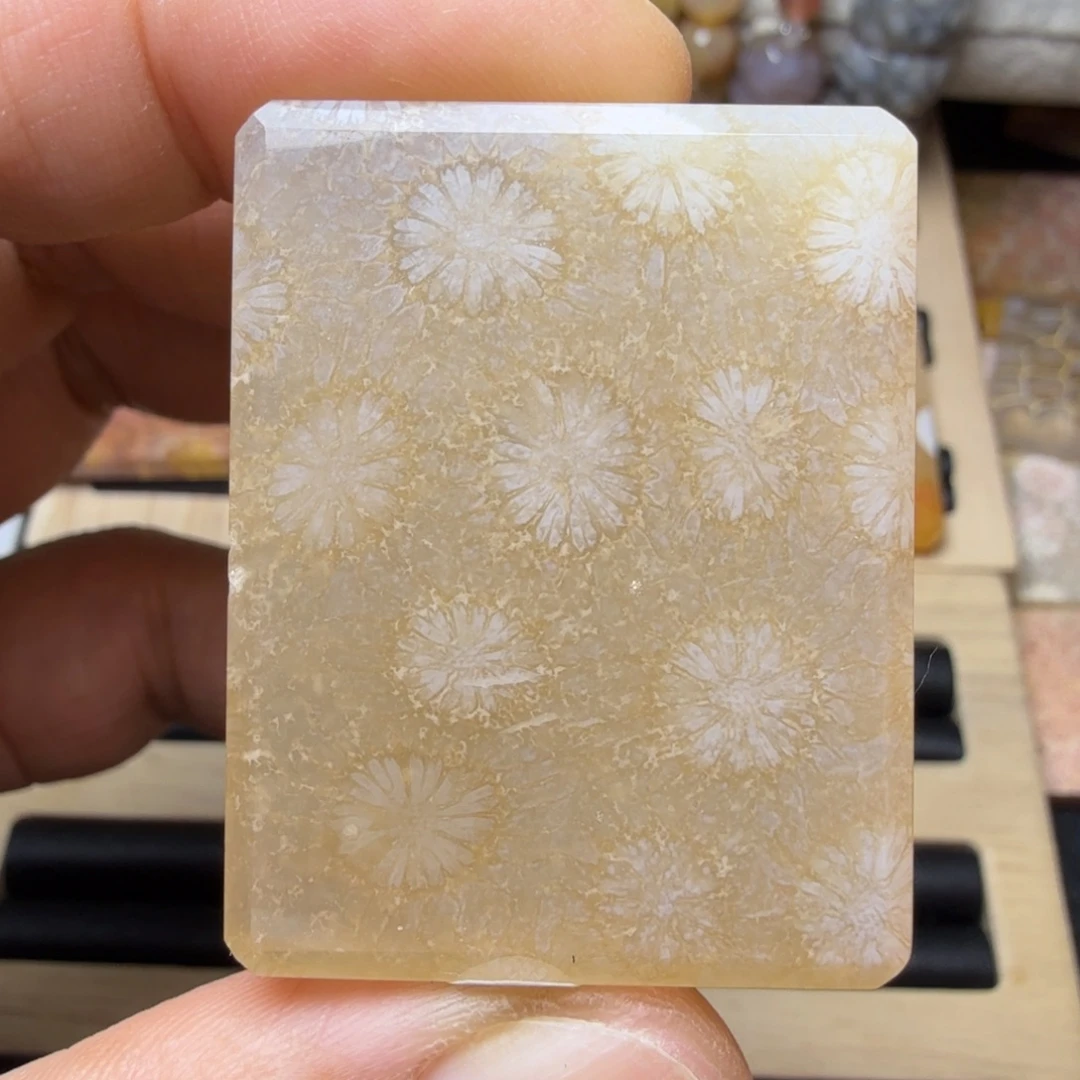 硅化玉未镶嵌纯天然色有机玉石保真色