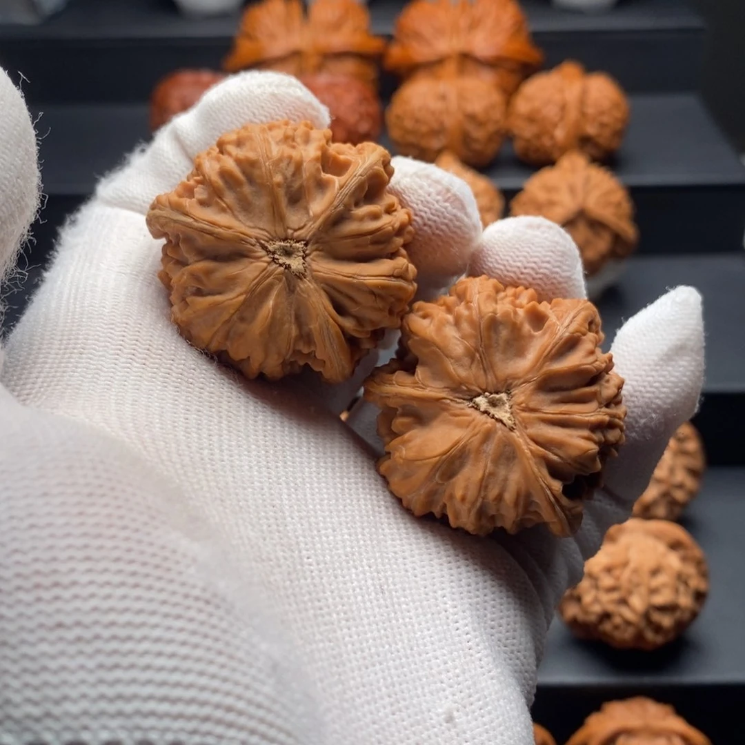 把件文玩核桃小**阳御龙粗筋三棱