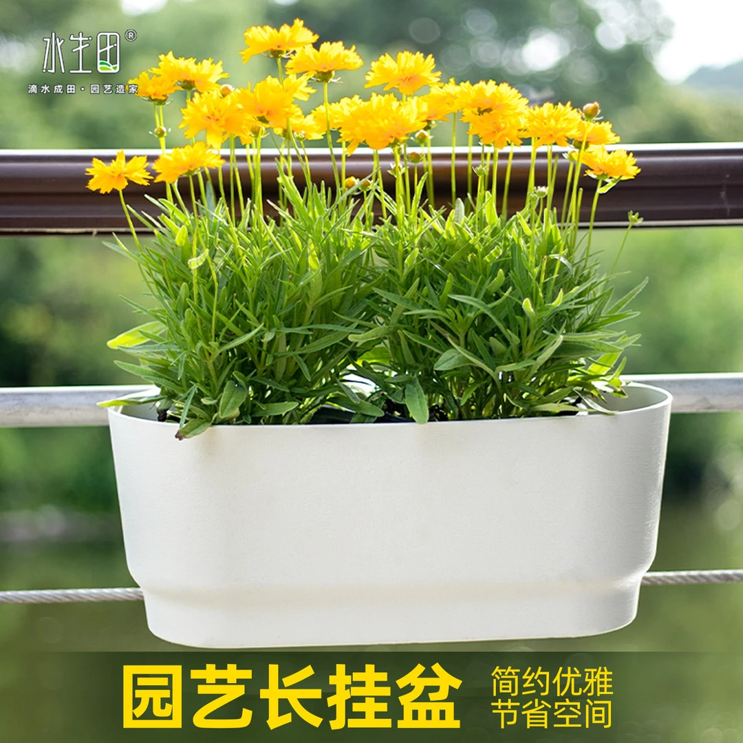 悬挂式长条盆阳台小花盆专用加厚塑料树脂吊挂土培吸水盆透气透水