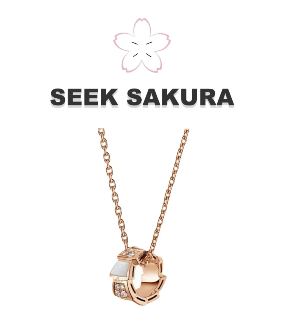 钛钢锆石项链 灵动蛇骨单圈精致项链