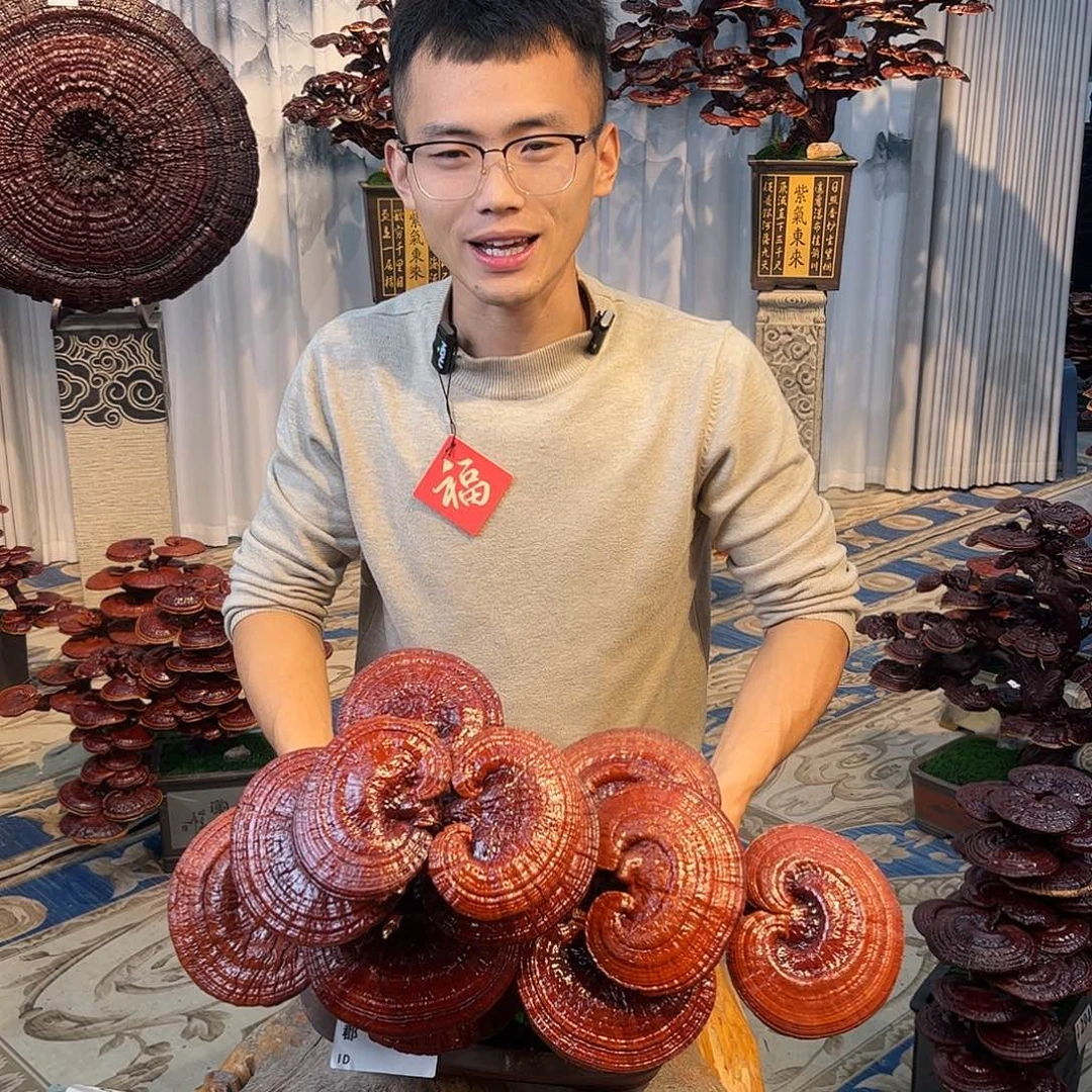 无花朵888888888888