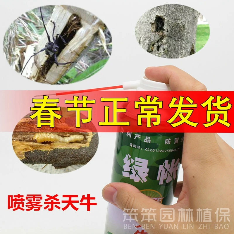 绿帐天牛立毙树牛天牛钻心虫苹果树蛤虫蛀木虫杀虫剂气雾型微毒剂