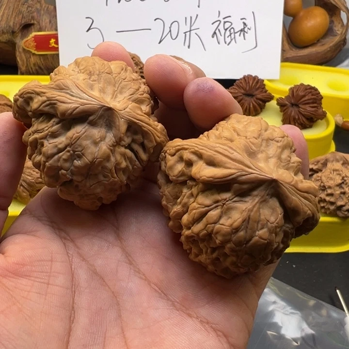 核桃龙鼎边54肚50