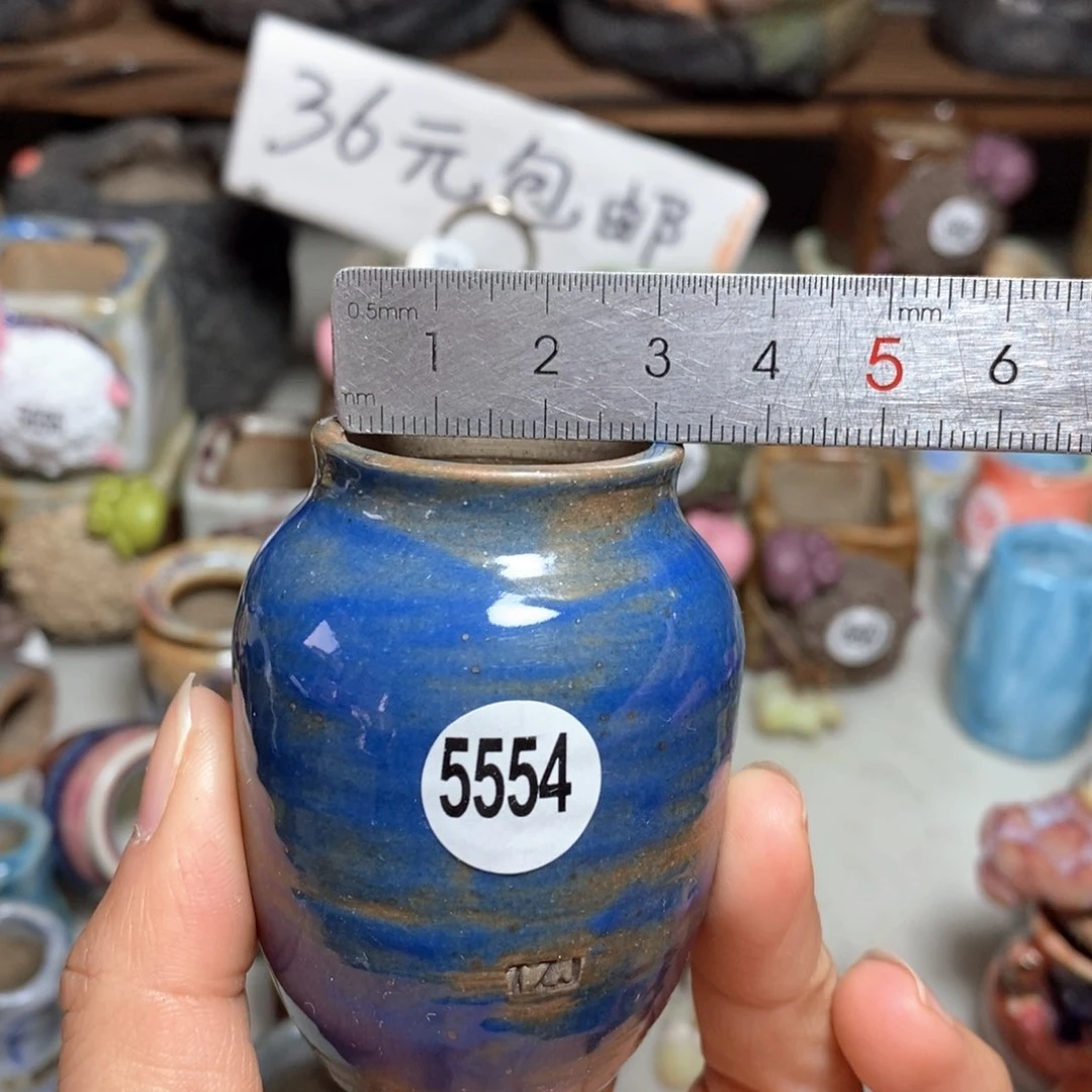 拍5送一个小礼物