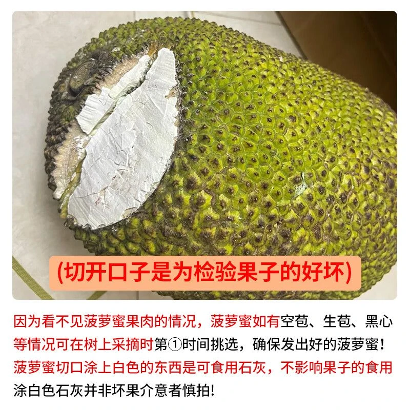 越南菠萝蜜10-12斤 果肉金黄色 香甜可口