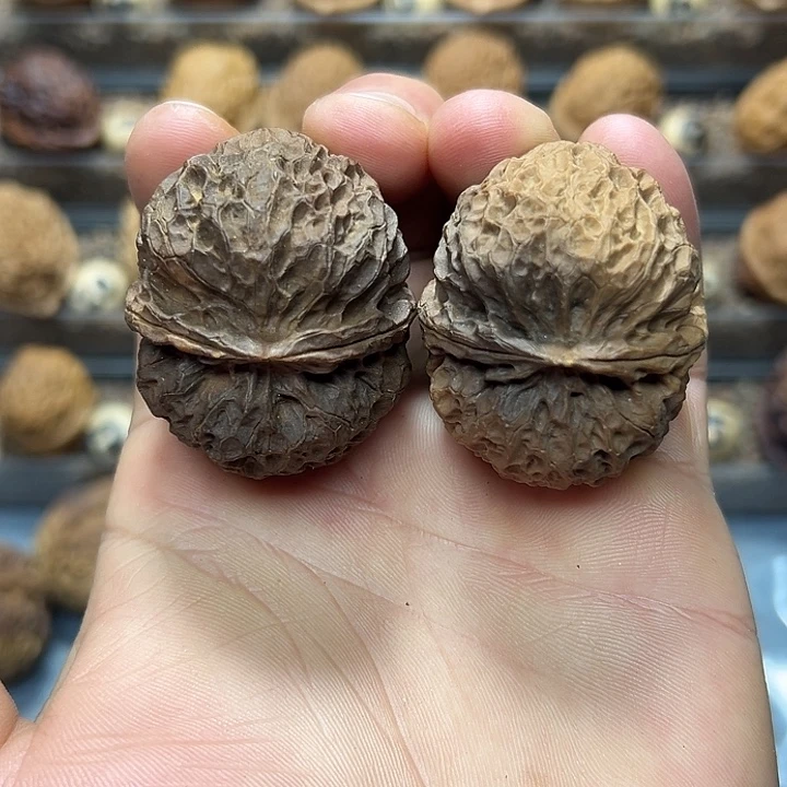 文玩核桃把件24号麒麟绣球44尺