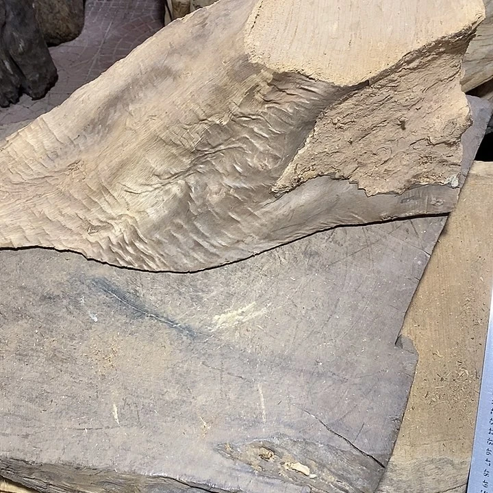 乌木类一**.金丝楠木小叶