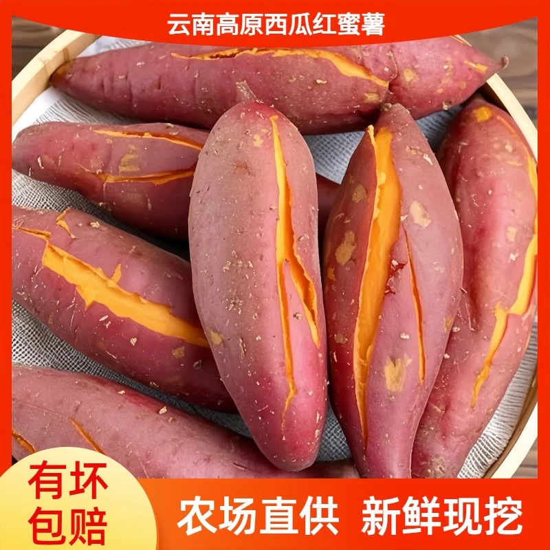 【新鲜现挖】云南西瓜红红心蜜薯沙地番薯软糯香甜皮薄农家黄心红薯