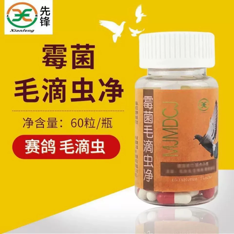 先锋鸽子药品霉菌毛滴虫净毛滴虫念珠菌嗉囊炎白黄色干酪物呼吸道