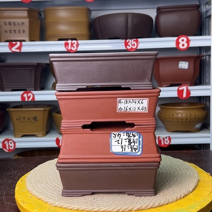 紫砂花盆蛇年大吉