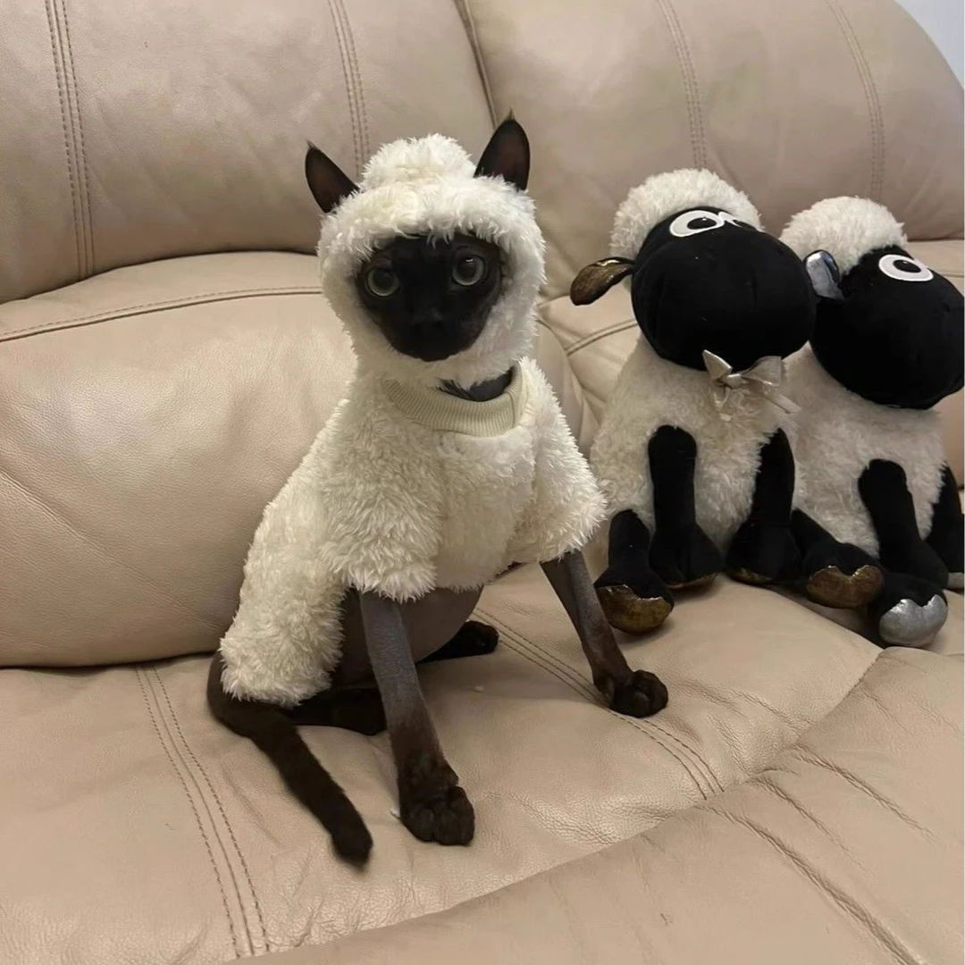 小羊肖恩宠物衣服秋冬德文猫新款搞怪宠物四脚衣无毛猫保暖衣服zy