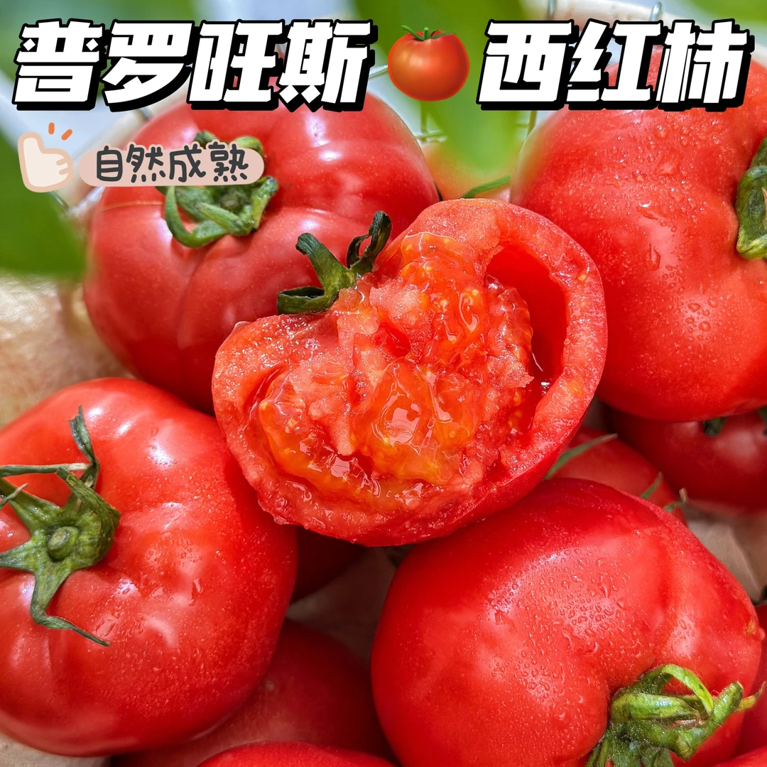 正宗普罗旺斯口感沙瓤西红柿小时候的味道京东包邮新鲜番茄同城送口感西红柿山东省潍坊市