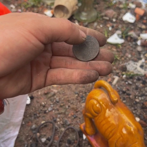 七***安核桃木/黑胡桃（胡桃木）