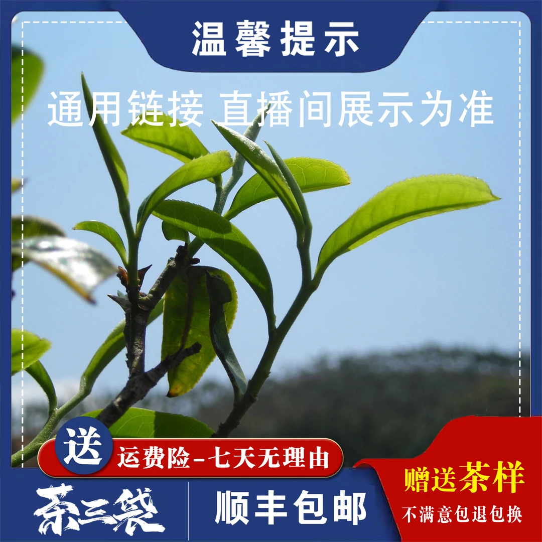 正气塘古树 2025年 生茶饼通用-普洱茶-生茶