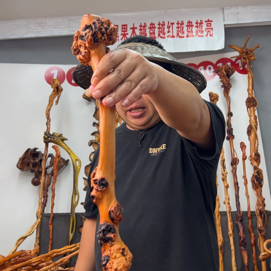 黑果木其他黑果木511