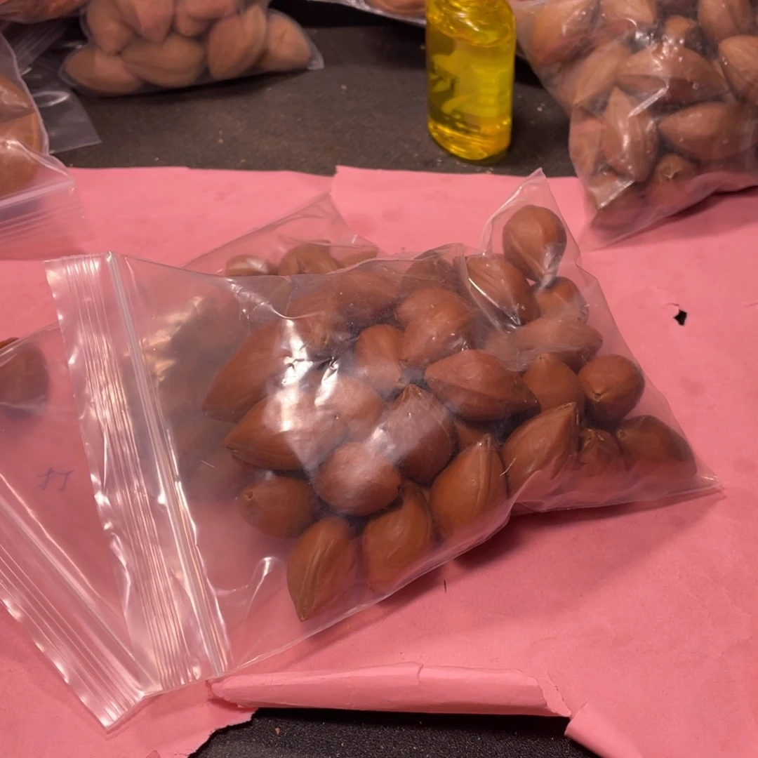 铁***病打孔工费不退hu