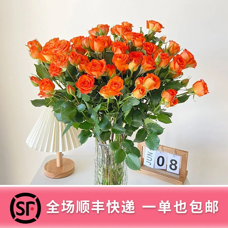 云南鲜花橙色芭比家用鲜花花束插花鲜花同城配送顺丰包邮发货