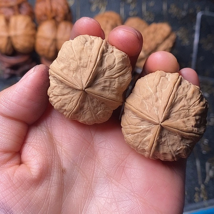 吊坠文玩核桃铁核桃44