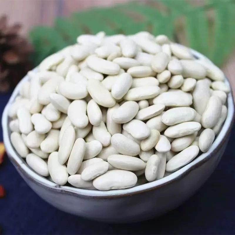 阿坝高原小白芸豆雪山豆